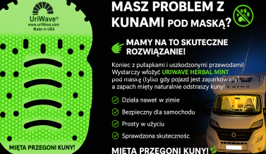 Jak pozbyć się kuny?