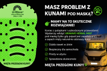 Jak pozbyć się kuny?