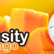 Intensity Mango - 3