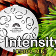 Intensity Herbal Mint - wkład do dyfuzora zapachów - 2