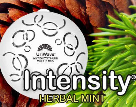 Intensity Herbal Mint - Karton - wkład do dyfuzora zapachów