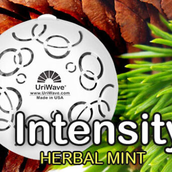 Intensity Herbal Mint - Karton - wkład do dyfuzora zapachów