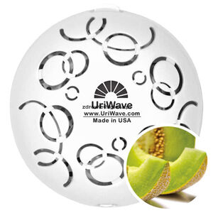 Intensity Cucumber Melon