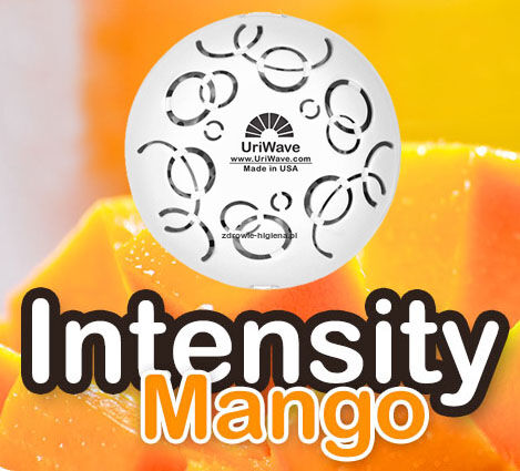 Intensity Mango - Karton - wkład do dyfuzora zapachów